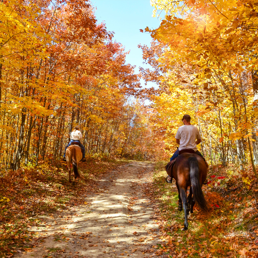 horseback-riding