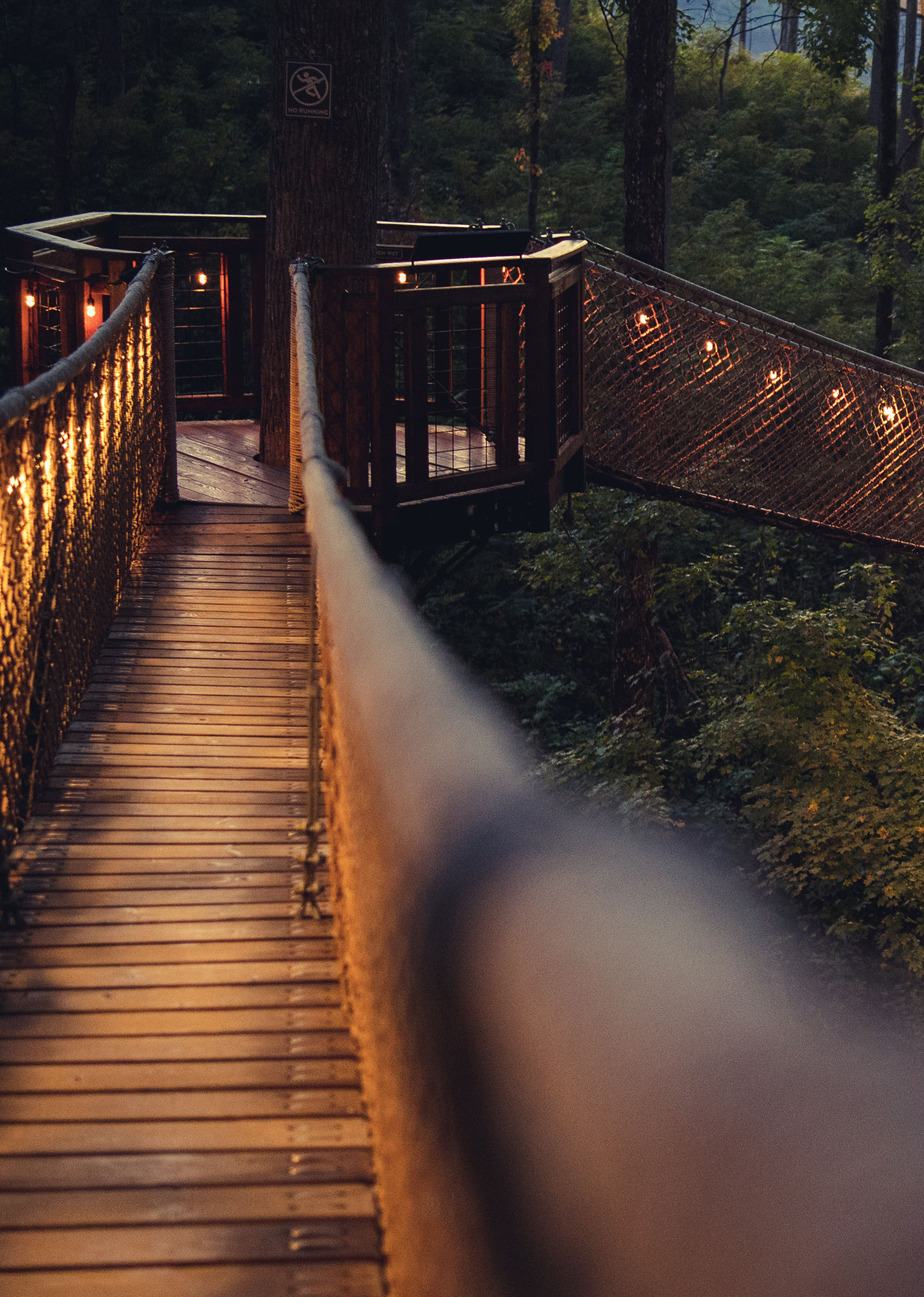 BRIDGE